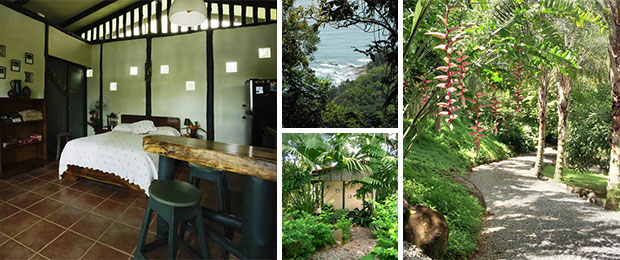 Casa Selva interior, ocean view and grounds